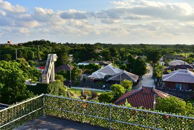 石垣が連なる小道を水牛車でゆったり散歩