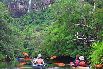 展望台から眺める仲間川の流域