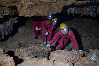 おきなわワールドといえば観光鍾乳洞「玉泉洞」が有名