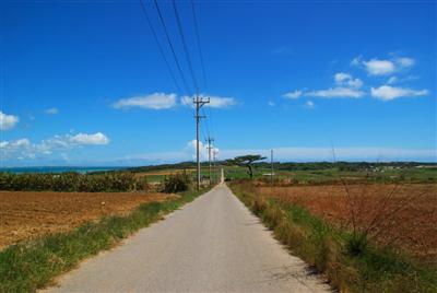 自転車で駆け抜けたい、まっすぐに伸びるシュガーロード
