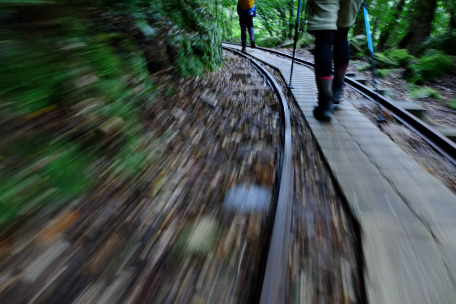 平らで歩きやすいものの、距離は長い