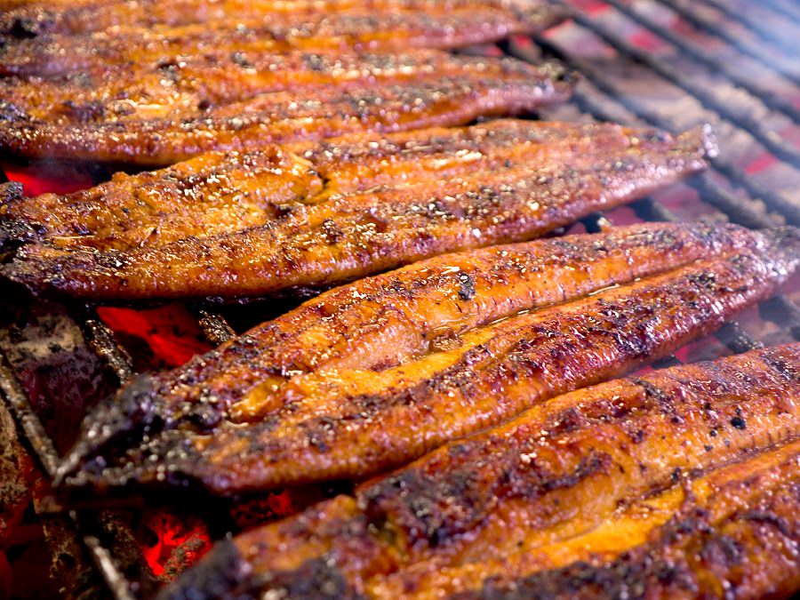 柳川発祥のうなぎのせいろ蒸しは必食