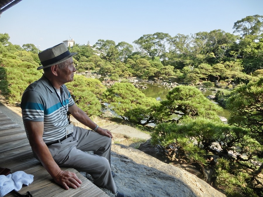 黒松が茂る庭園を眺める