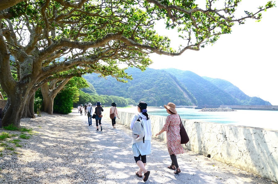 根っこが空洞のほこらデイゴの中に入ると、子宝に恵まれるとか