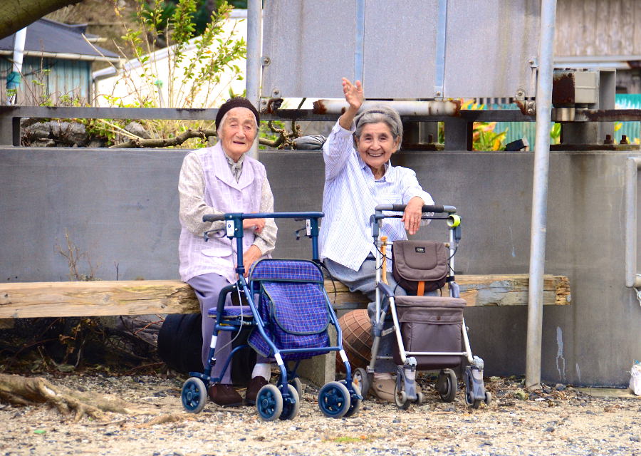 シマッチュと出会ったら、まずは「こんにちは！」