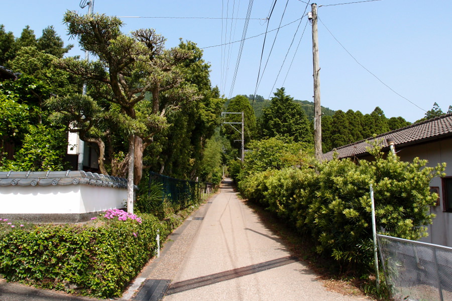 小さな路地を一本入れば、この景色。自然豊かな山間の城下町