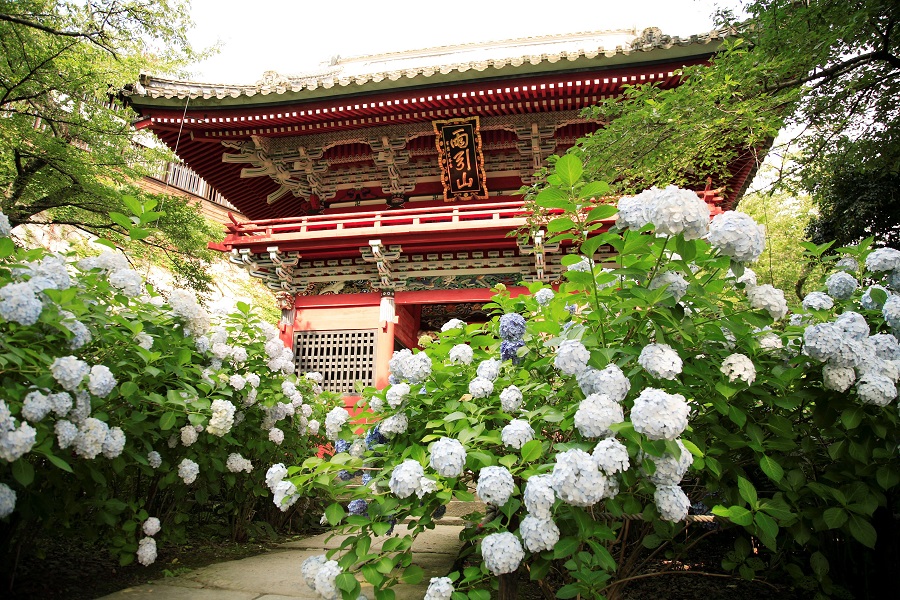 真作/坂東三十三ヶ所観音霊場（箇所）/布袋屋掛軸HC-170 真作/坂東三十三ヶ所観音霊場（箇所）/布袋屋掛軸HC-170 - メルカリ