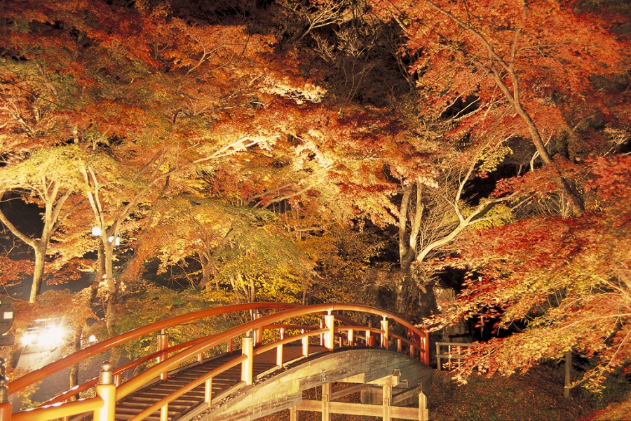 河鹿橋の紅葉ライトアップは幻想的な美しさ