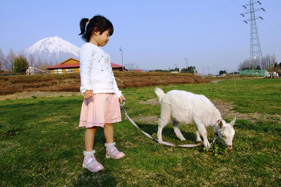 富士ミルクランドの自家製ジェラートは子供たちに大人気