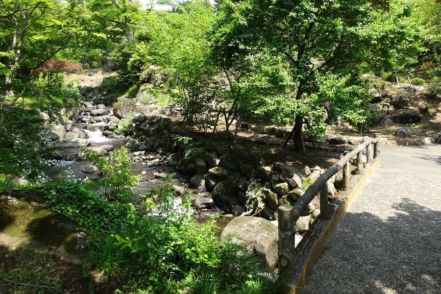 熱海梅園は「日本一遅い紅葉の名所」ともいわれる