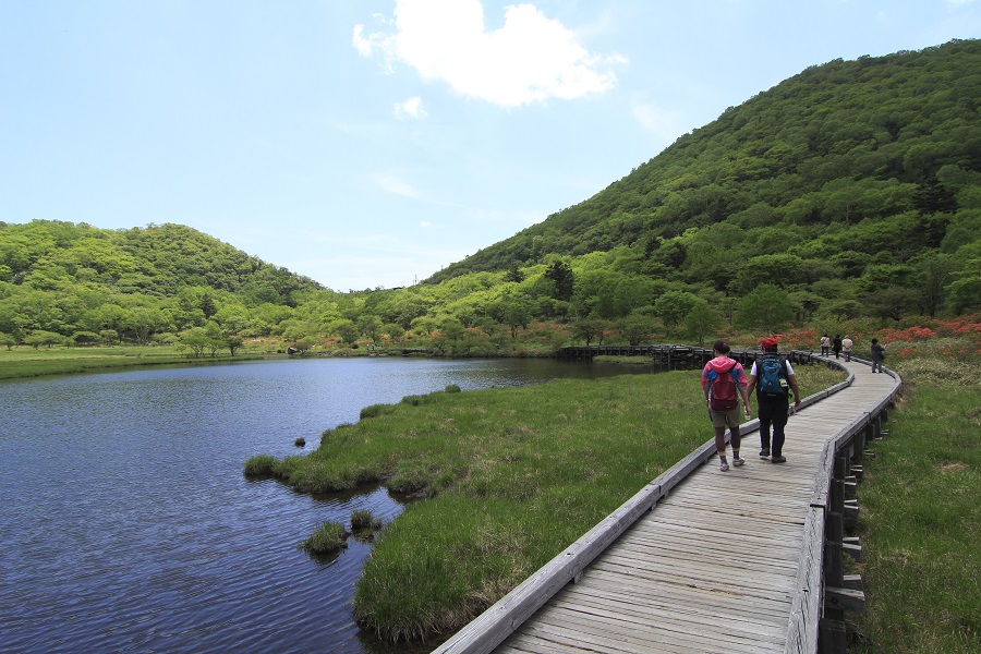多彩な湿性･高山植物が観察できる覚満淵 