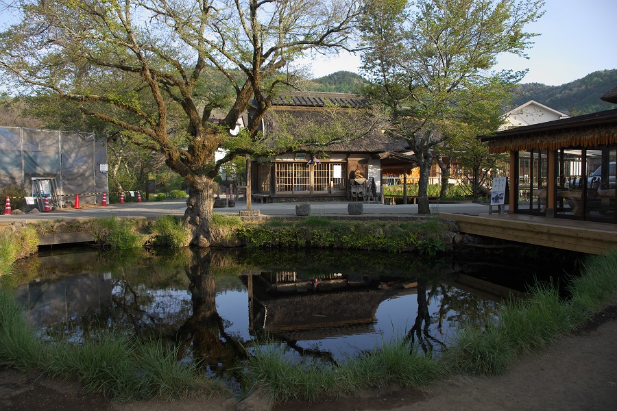 湧池の水辺には水車小屋やみやげ店が立つ（写真／忍野観光協会）