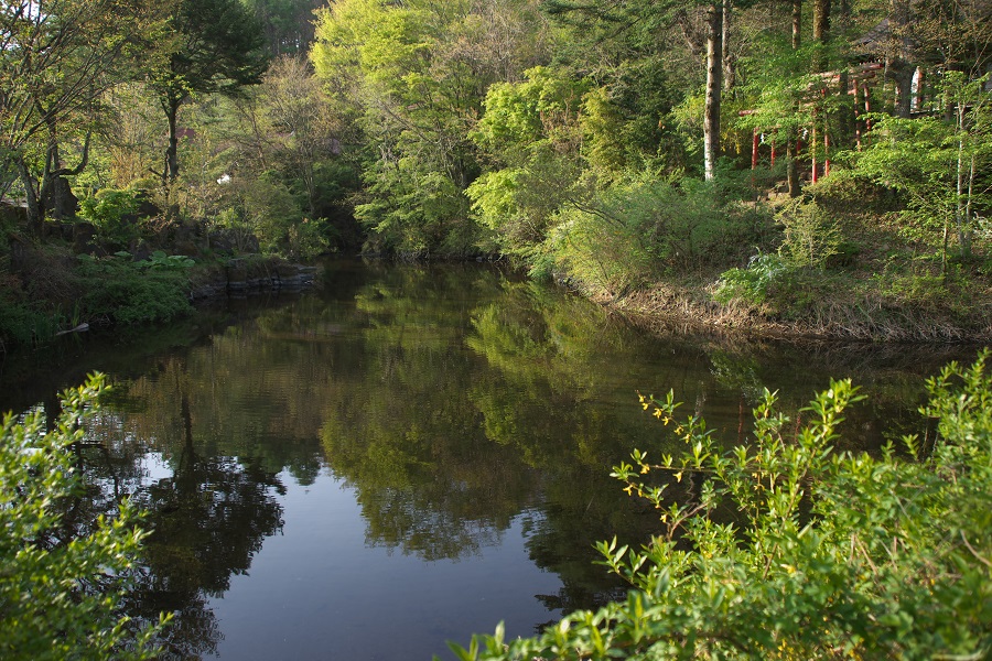 ひとつだけ離れた場所に湧く出口池（写真／忍野観光協会）