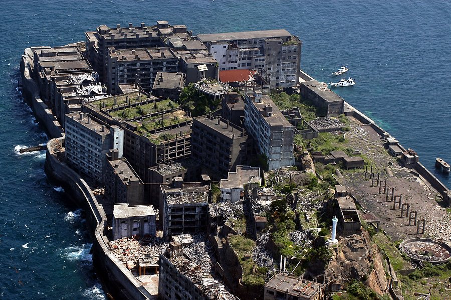 ビルの上で、さまざまな農作物が栽培されていた