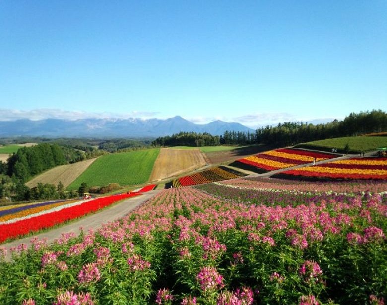 四季彩の丘と十勝岳連峰