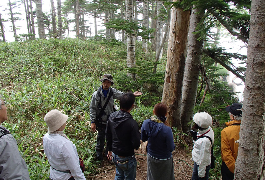 知床五湖のガイドツアー