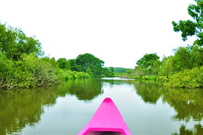 釧路湿原カヌー