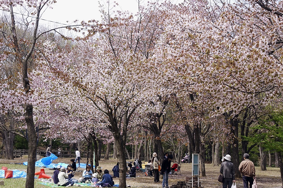 円山公園