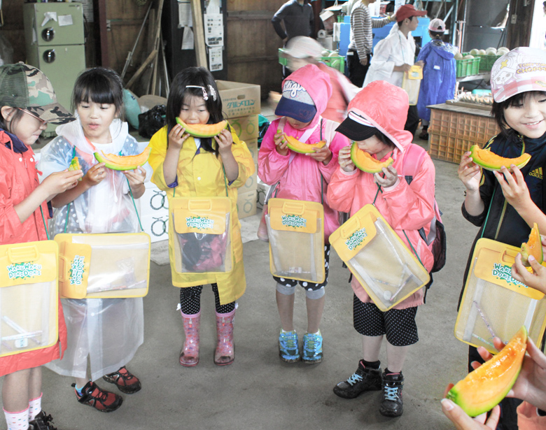 とれたて夕張メロン