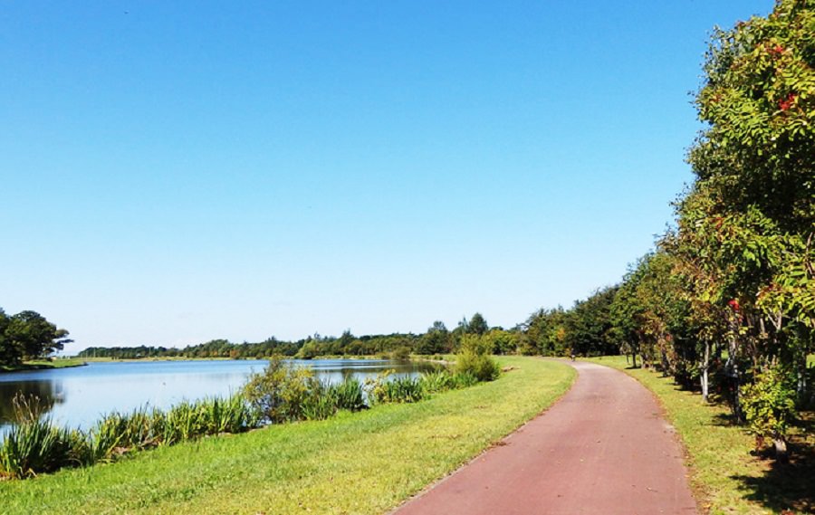 しのつ湖周辺は自然豊かな憩いの場所