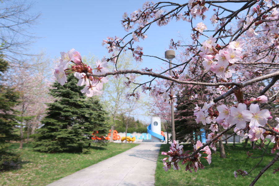 モエレ沼公園