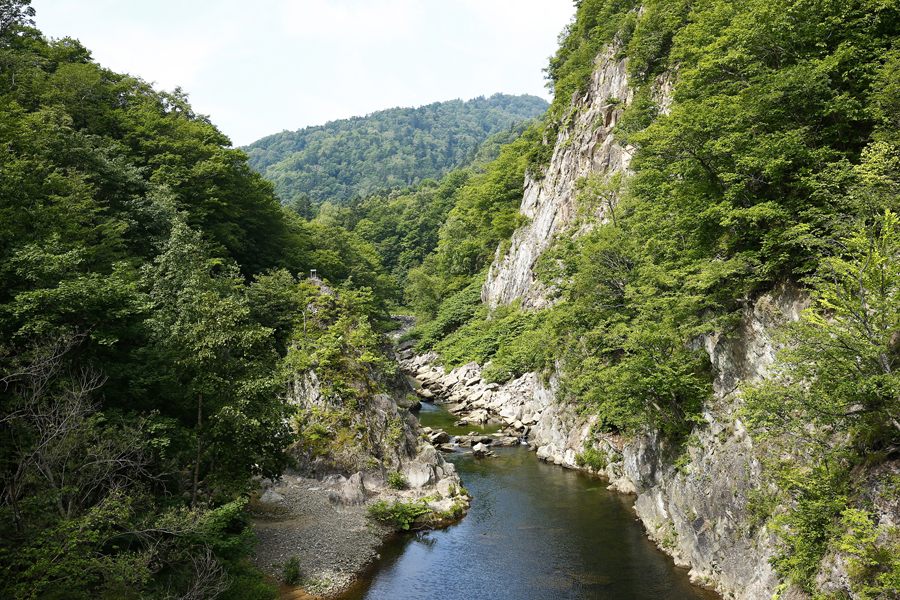 定山渓の自然