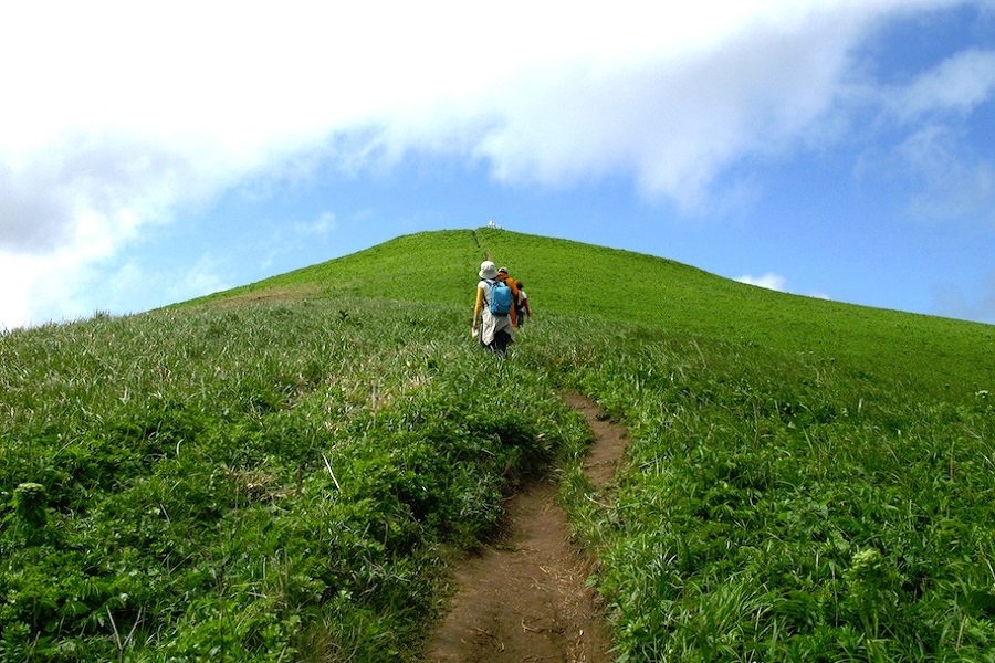 高い木が無い独特の地形の礼文島