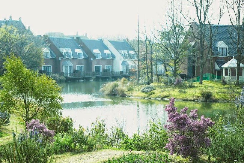 早朝散歩で自分だけの優雅なひと時を