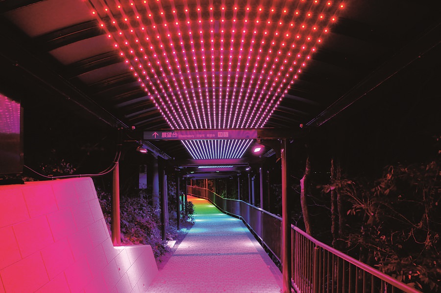 展望台へと続く色鮮やかなイルミネーション