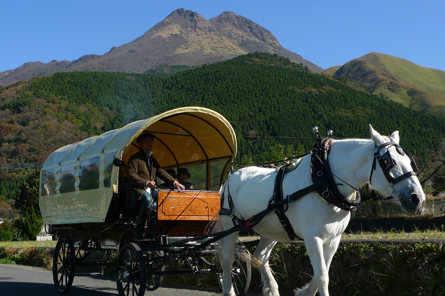 湯布院名物「観光辻馬車」。車では気付かない景色に出合える