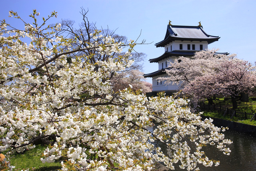 松前公園 松前公園