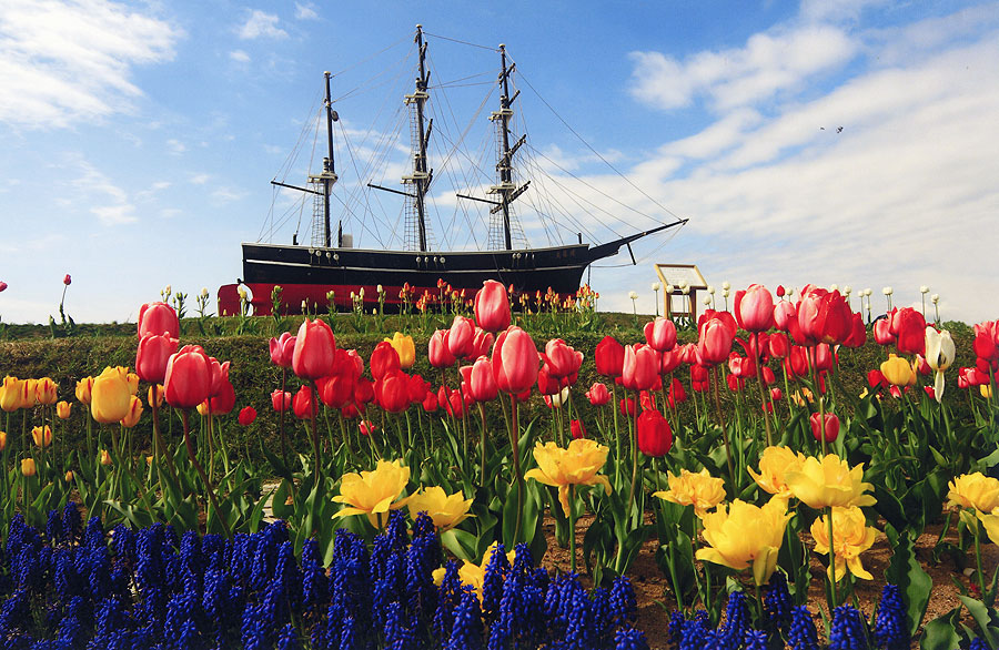 泉沢駅から徒歩で行けるスポット「サラキ岬」