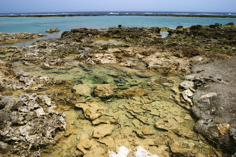 磯遊びポイントでは風化したサンゴに要注意（玻名城の郷ビーチ）