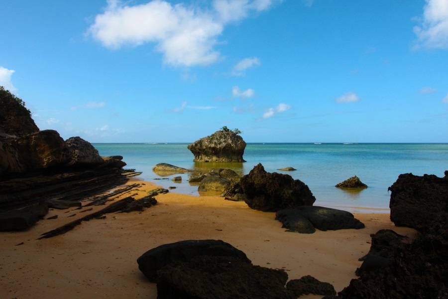 西珊瑚石灰岩と原生林が作りだすビーチ（忘れな石の浜）