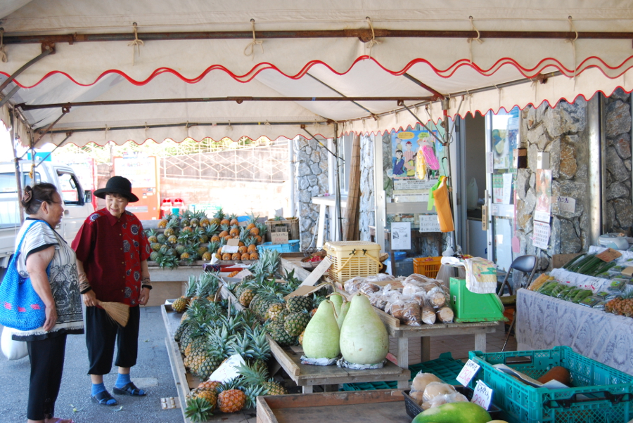 おしゃべりしながらパイナップルを選ぶ地元のお母さんたち