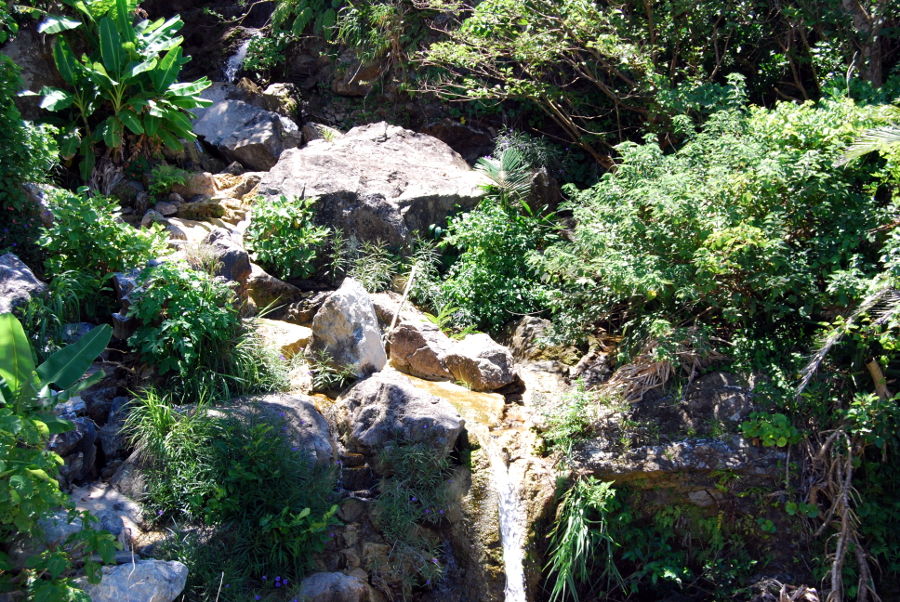 清らかに流れる水のせせらぎに耳を傾けてはいかが