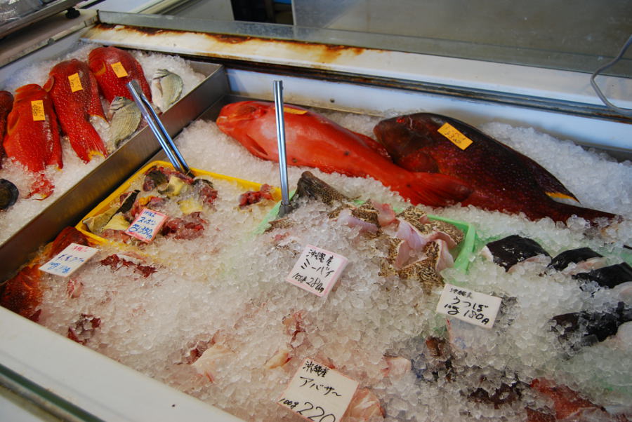 漁師町糸満らしい、変わった魚も