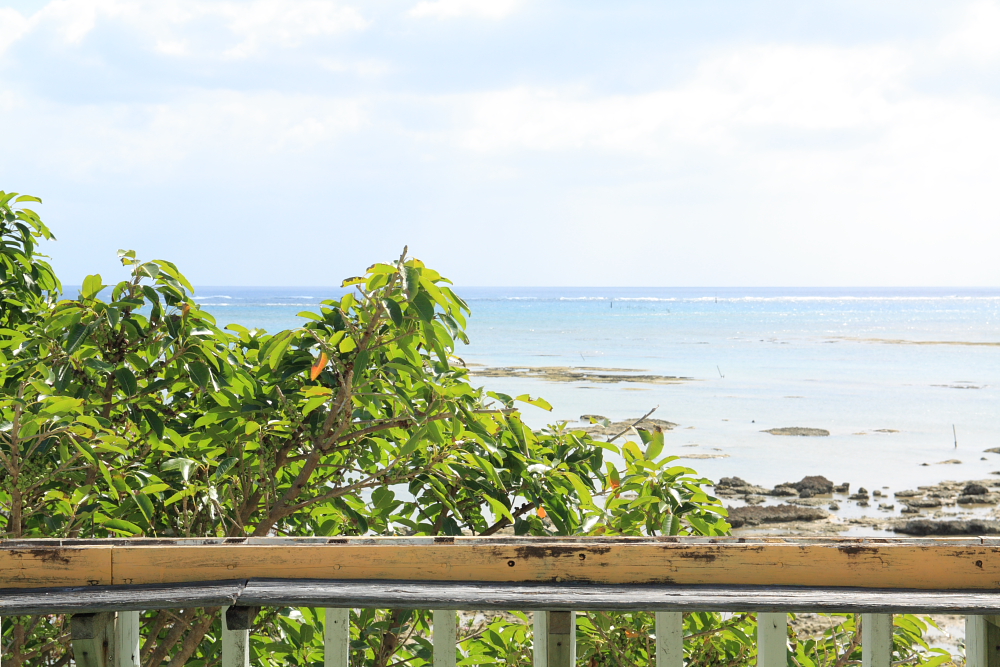 目の前に広がる海を見渡せば、癒されること間違い無し