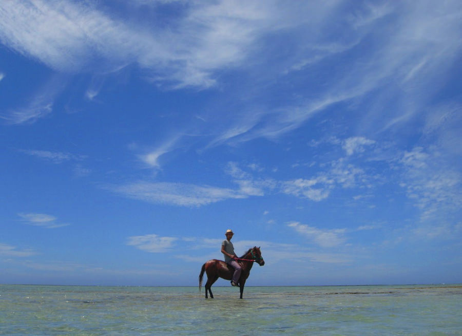 青い海で体験する乗馬