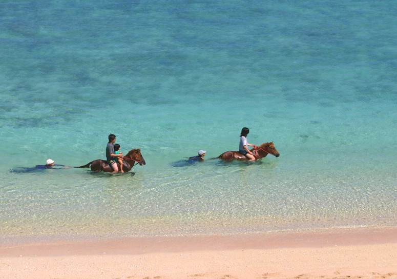 しっぽでゆらゆら