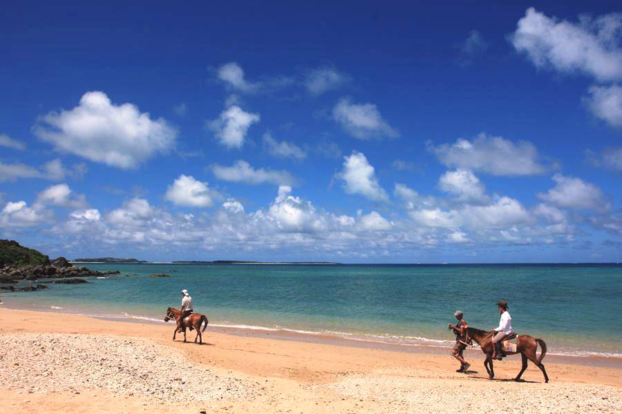 沖縄の新たな観光「海馬遊び」。久米島にて 