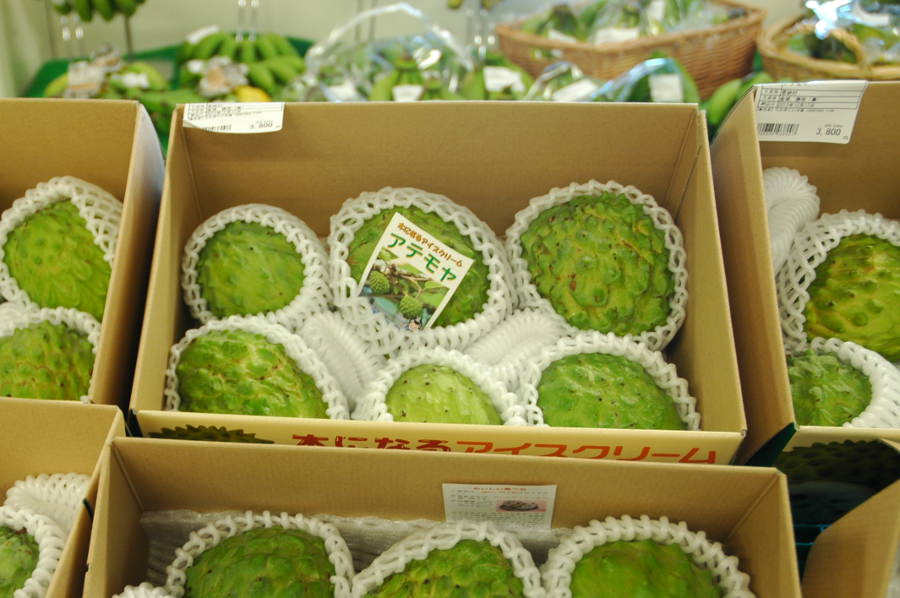 恩納村でつくられるアテモヤは冬場の定番