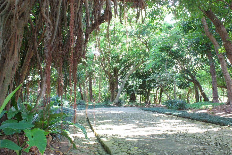 先の見えない園路は、より期待を高める効果を生んだ