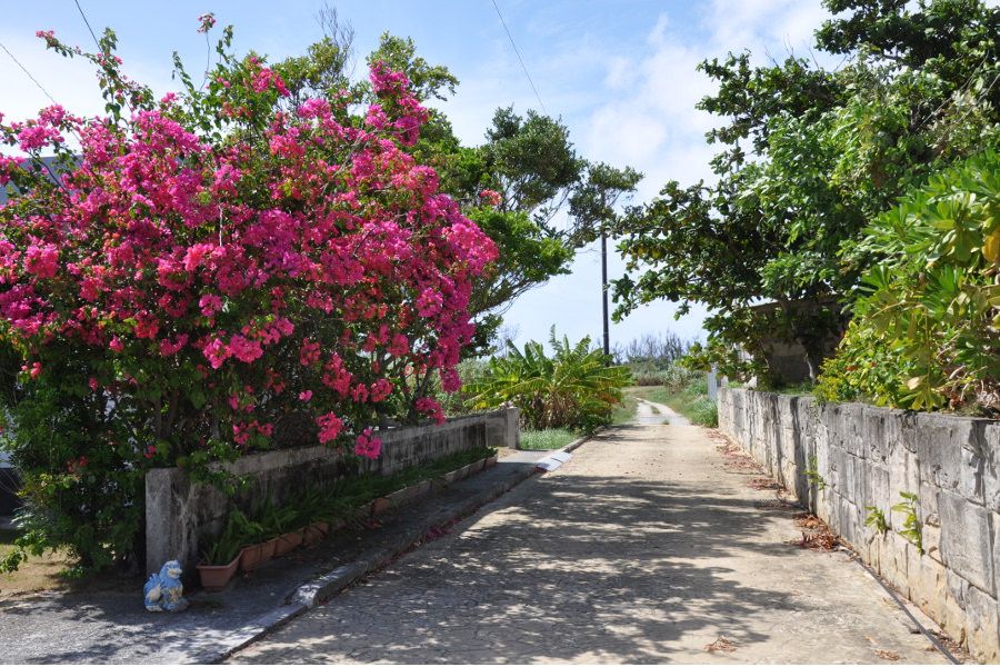 ビーチだけじゃなく島の集落をぶらり散歩もいい