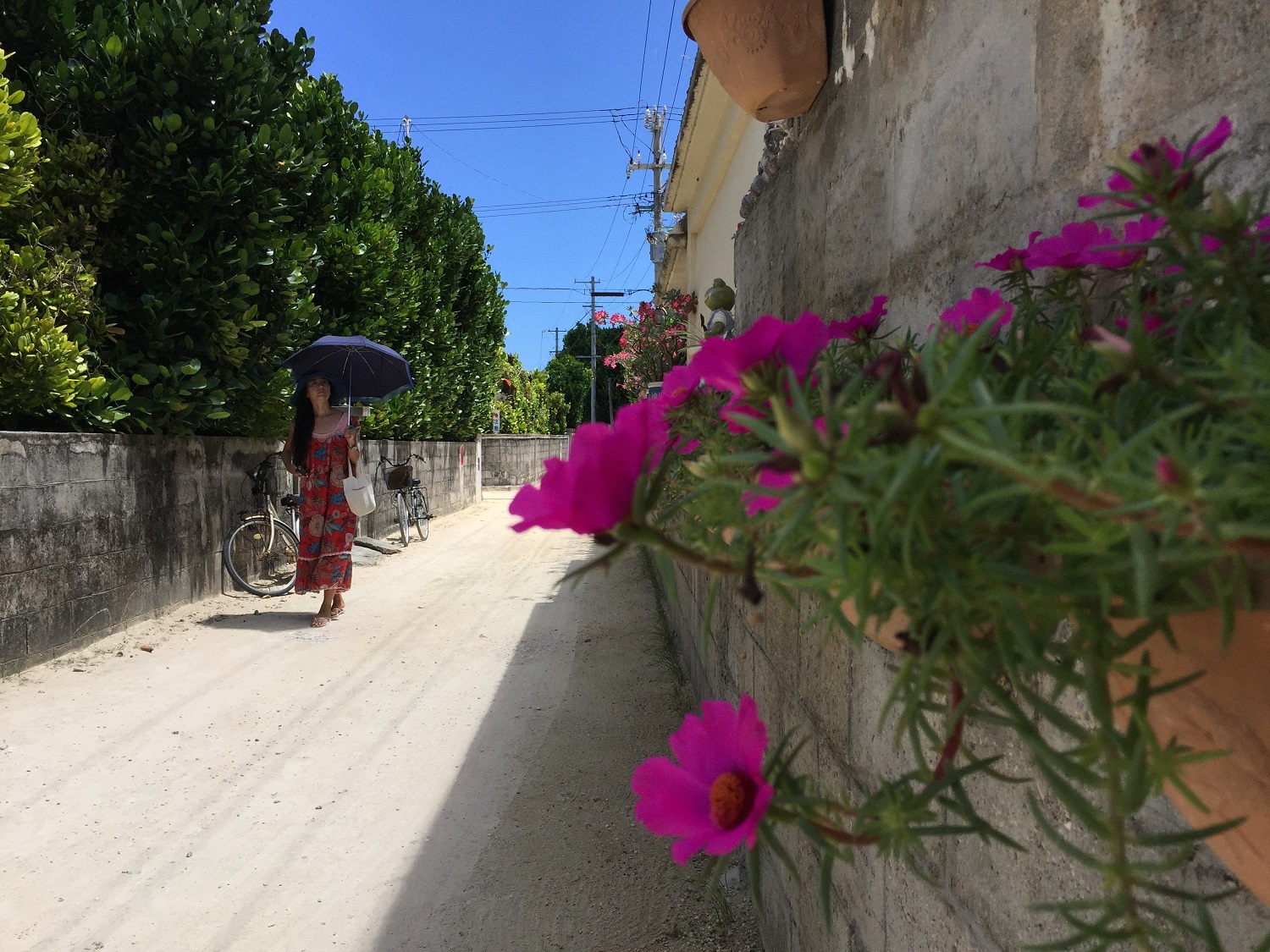 渡名喜村の集落は、自転車でまわるのがおすすめ。