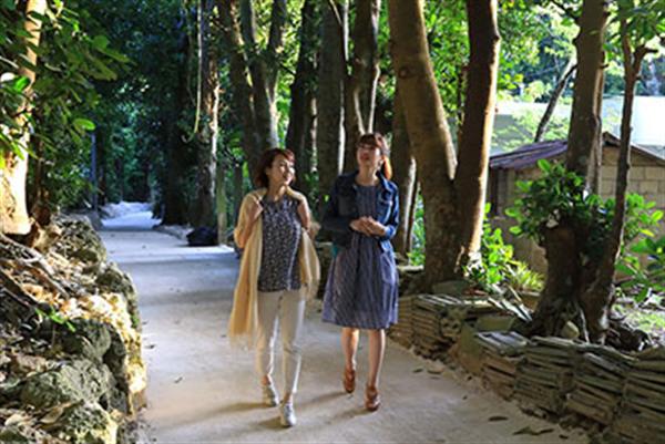 迷路のような並木道