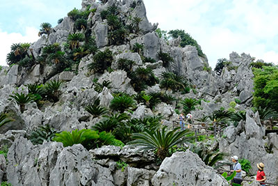 施設内で最もパワーが集中している場所だという「悟空岩」 