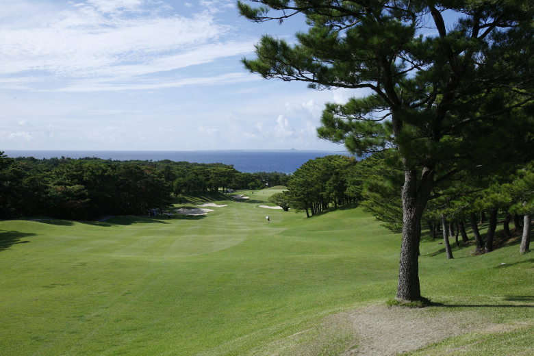 青空の下、海に向かってナイスショット！