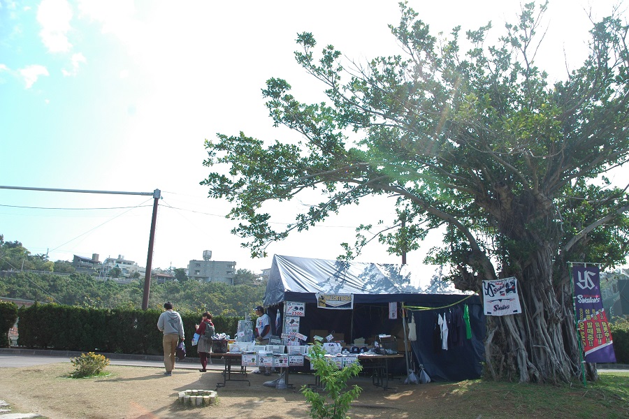 年に一度だけ、この木の下で営業しています！