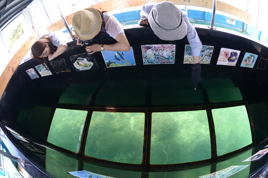 グラスボートから美しい海の中が見える